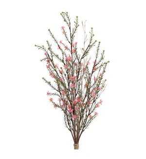 Leptospermum Bundle