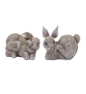 Bunny (2 Asst)
