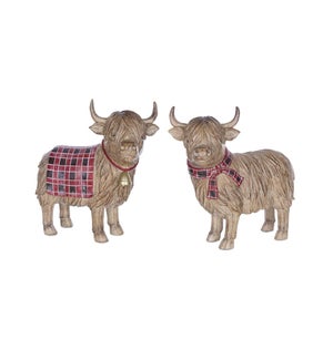 Highland Cow (2 Asst)