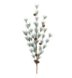 Pine Spray