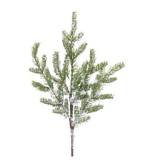 Pine Spray