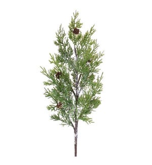 Pine Spray