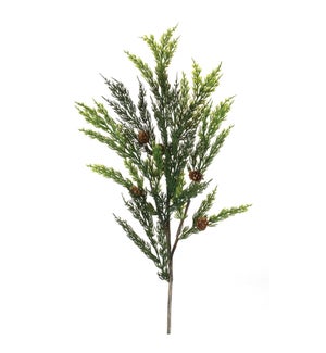 Pine Spray