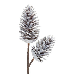 Pine Cone Pick
