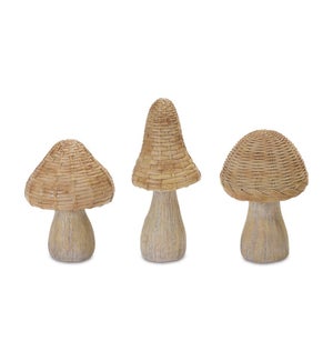 Mushroom (3 Asst)