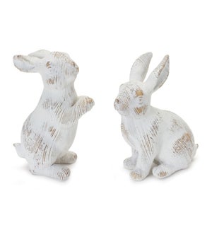 Rabbit (2 Asst)