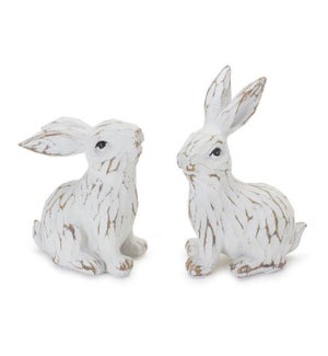 Bunny (2 Asst)