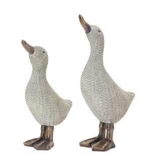 Duck (Set of 2)