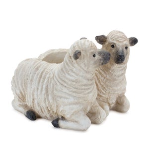 Sheep Planter