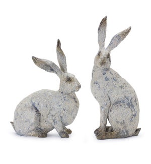 Rabbit (2 Asst)
