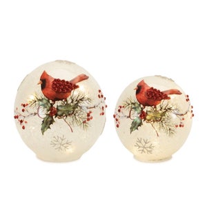 LED Globe with Cardinal and Holly (Set of 2)