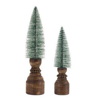 Mini Tree on Pedestal (Set of 2)