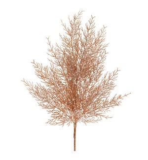 Cedar Spray