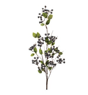 Berry Spray