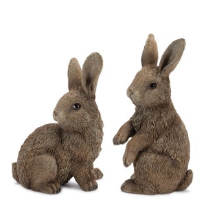 Bunny (2 Asst)