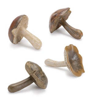 Mushroom (4 Asst)