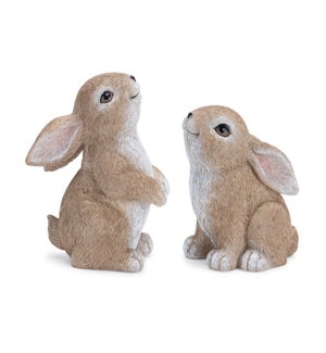 Bunny (2 Asst)