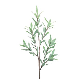 Olive Leaf Branch