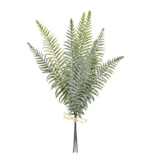 Fern Bundle