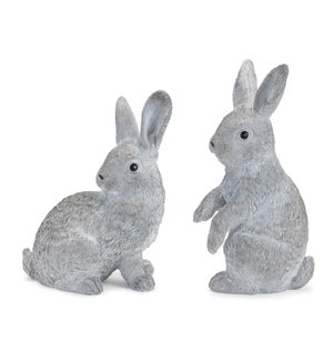 Bunny (2 Asst)