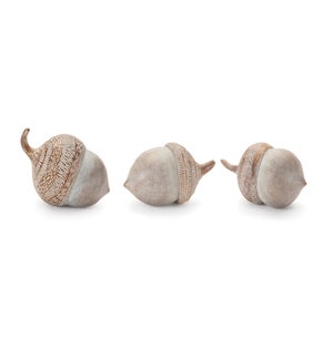 Acorn (3 Asst)