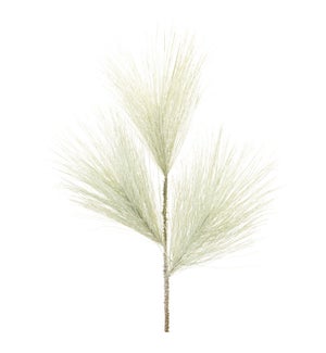 Pine Spray