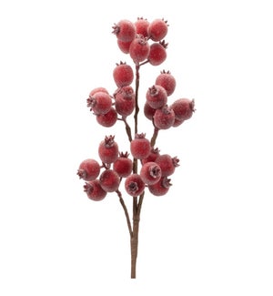 Berry Spray