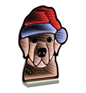 Dog with Santa Hat Ekkolight