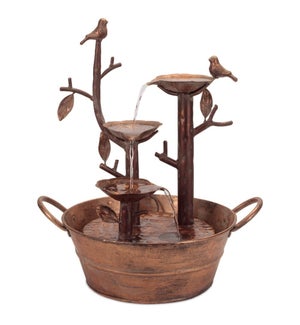 Fountain with Birds