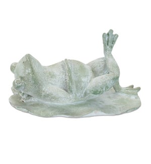 Frog Relaxing