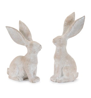 Rabbit (2 Asst)