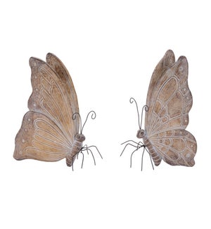 Butterfly (2 Asst)