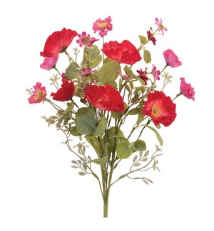 Mixed Poppy Bush