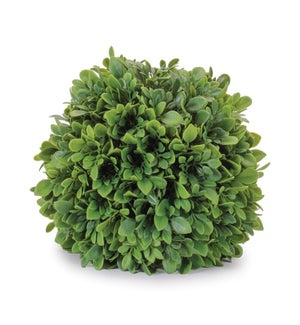 Boxwood Orb
