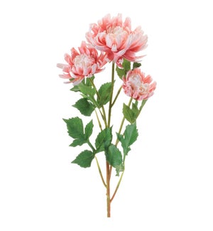Mum Spray