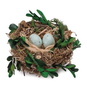 Nest with Eggs