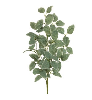 Foliage Spray