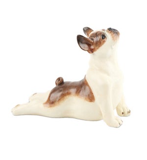 Dog Yoga
