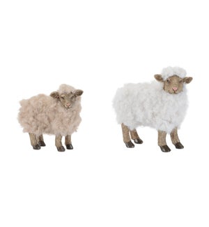 Sheep (Set of 2)