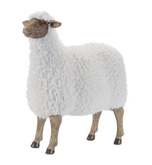 Sheep