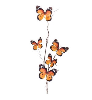 Butterfly Spray