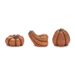 Pumpkin (3 Asst)