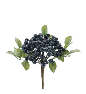 Berry Cluster