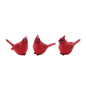 Cardinal (3 Asst)