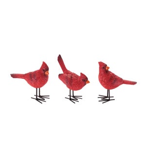 Cardinal (3 Asst)