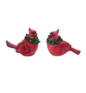 Cardinal (2 Asst)