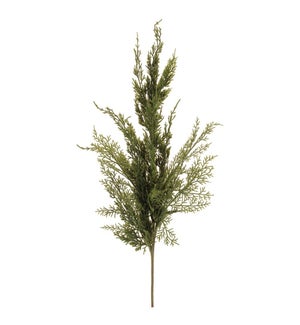 Pine Spray