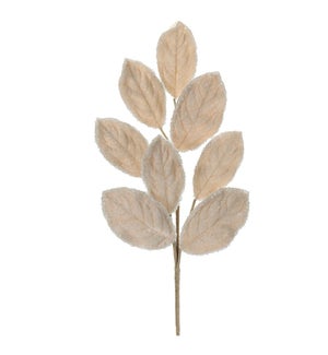 Magnolia Leaf Spray