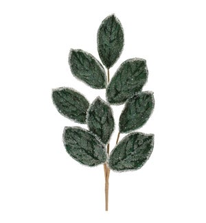 Magnolia Leaf Spray