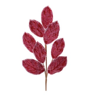 Magnolia Leaf Spray